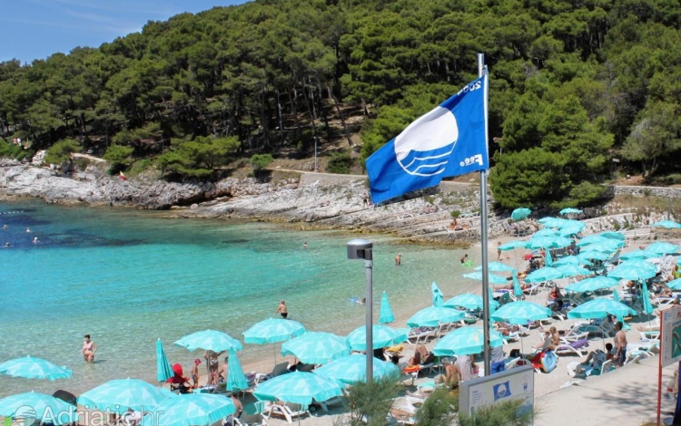 Cras accumsan quam nec susc