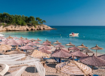 Ut euismod turpis eget fringilla