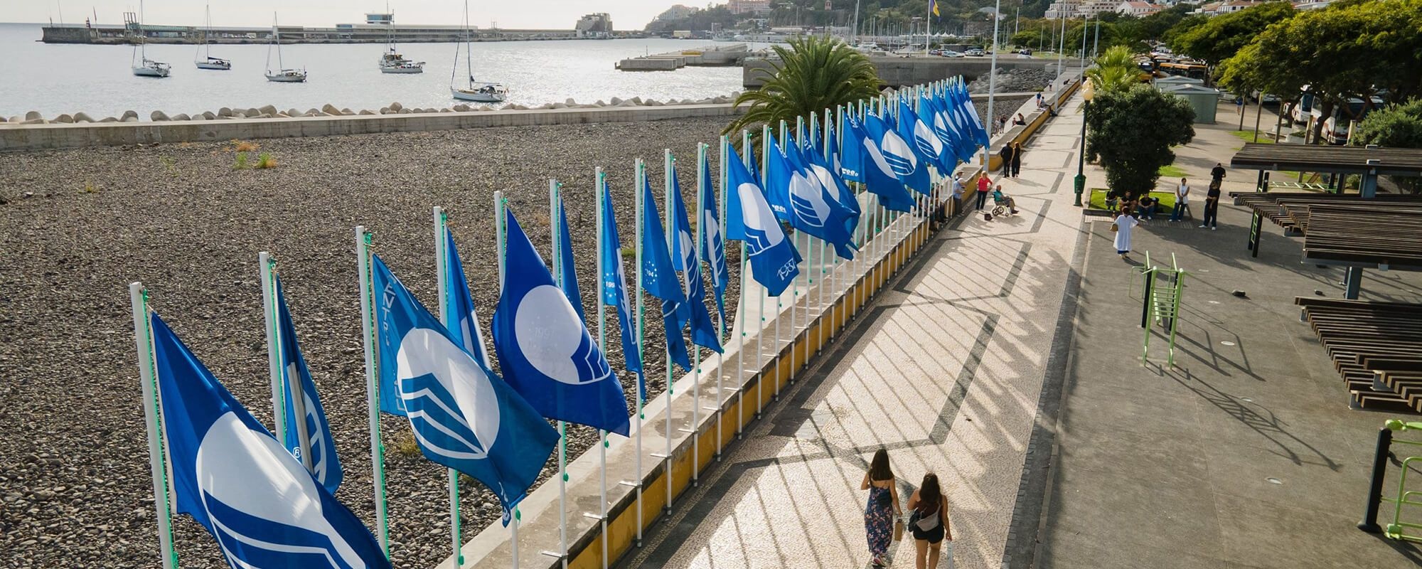 Aenean et metus sapi risus a egestas tempus mauris quam